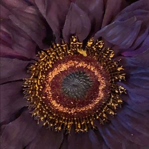 Meet your Posher, Leslie